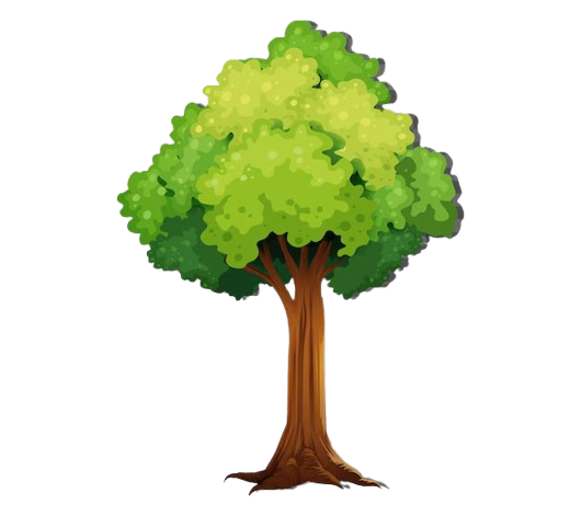 BAUM